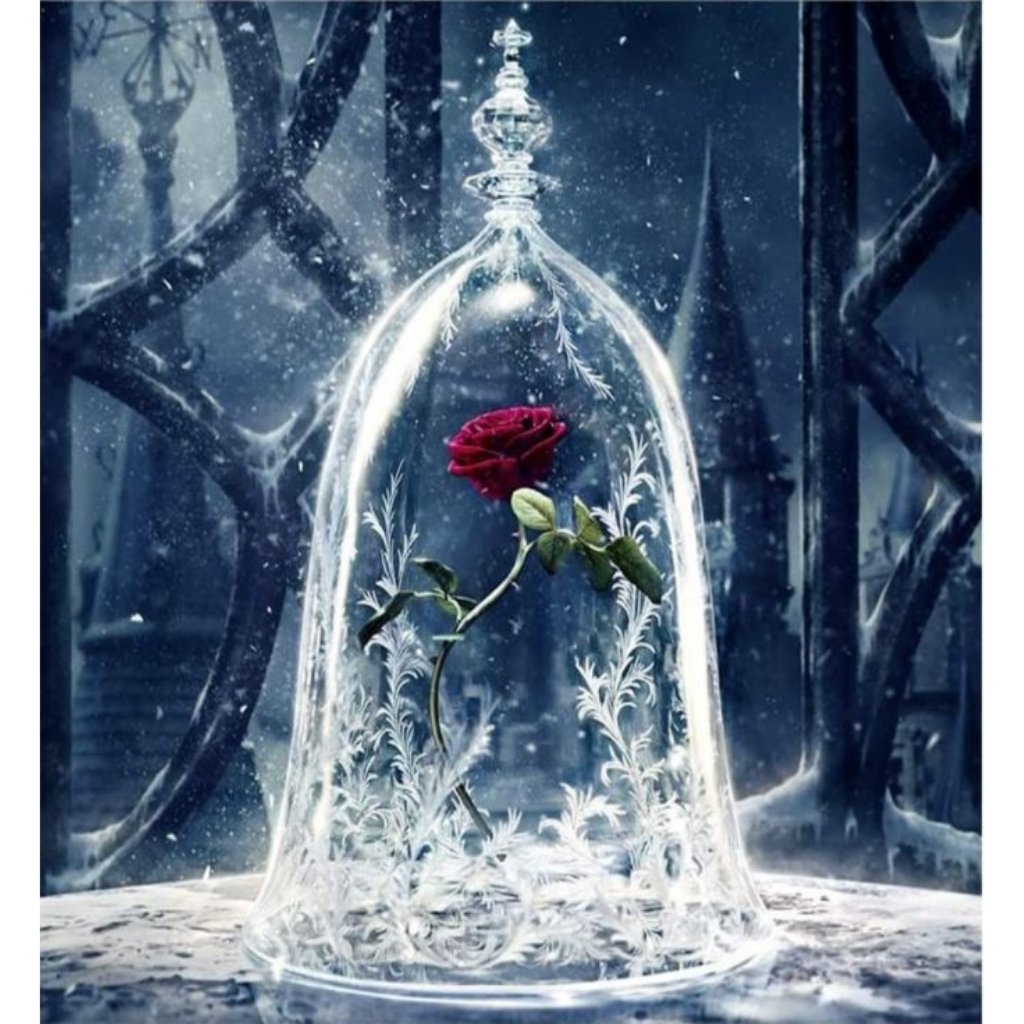 Enchanted Rose Paint By Numbers - Number Art