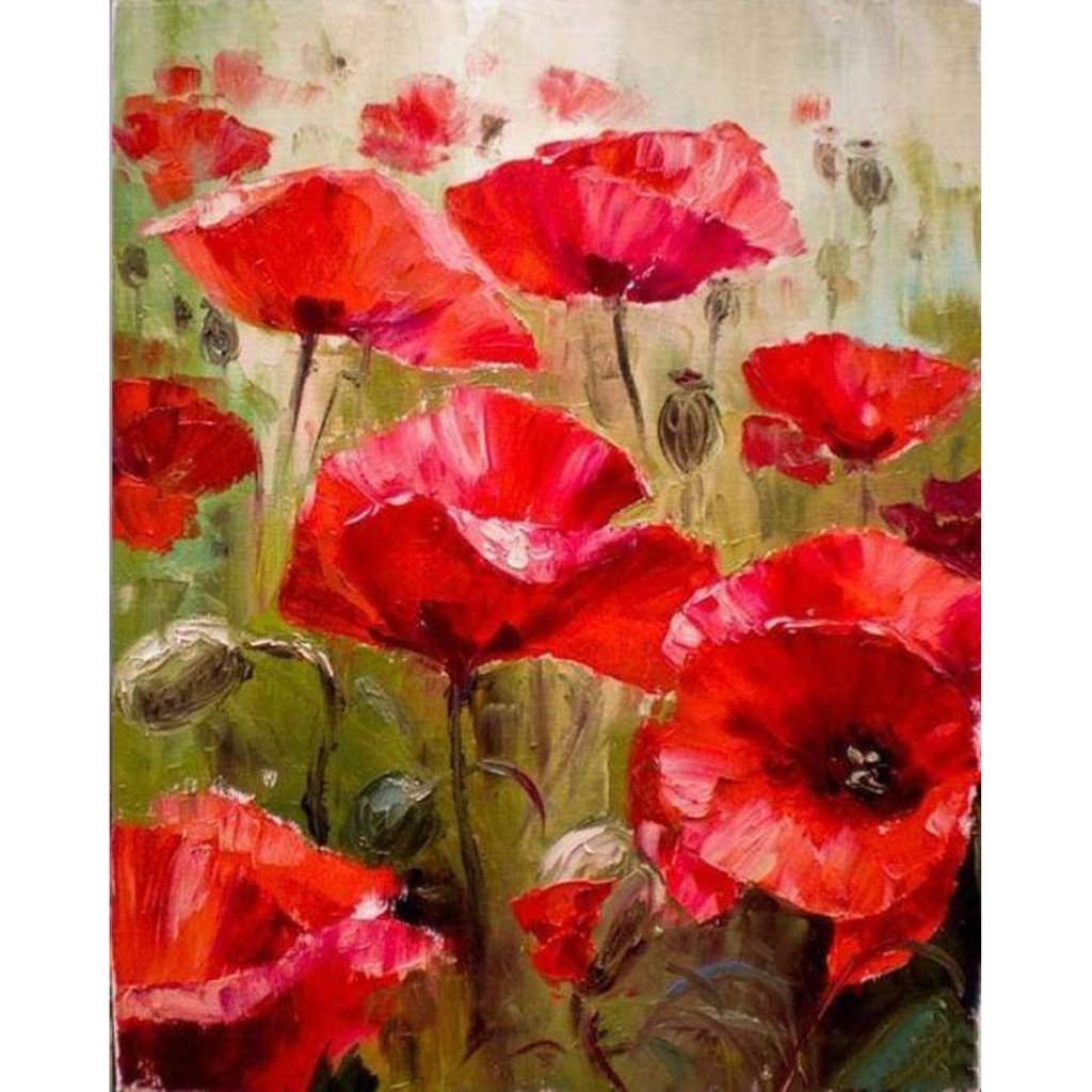 Lush Poppy Field Paint by Numbers Kit - Number Art
