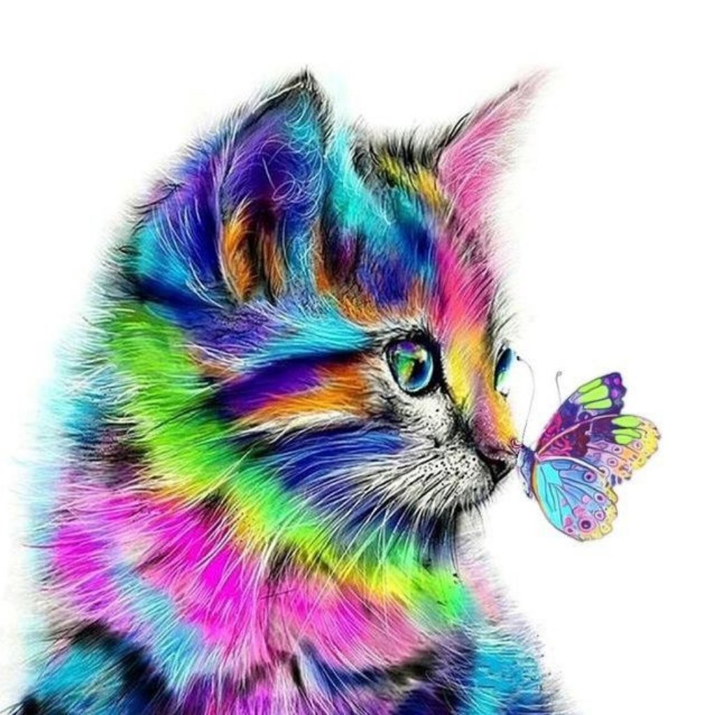 Vibrant Cat And Butterfly Paint By Numbers - Number Art